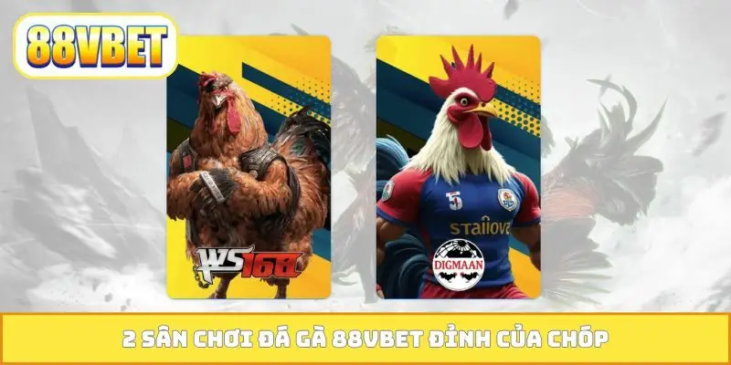 2 sân chơi đá gà 88VBET đỉnh của chóp