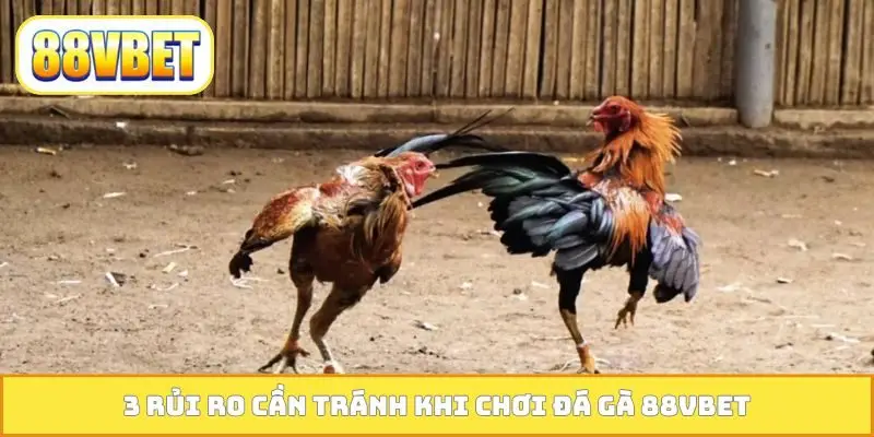 3 rủi ro cần tránh khi chơi đá gà 88VBET