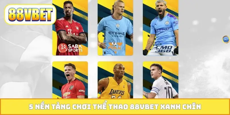 5 nền tảng chơi thể thao 88VBET xanh chín